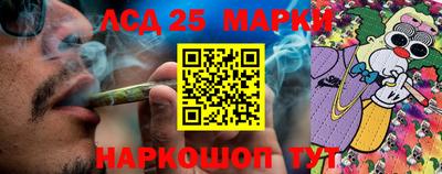 СК Абакан